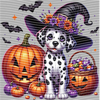 Halloween-WS 5708